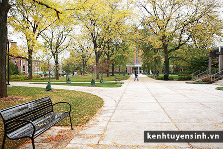 Các cơ sở của trường đại học Penn State University